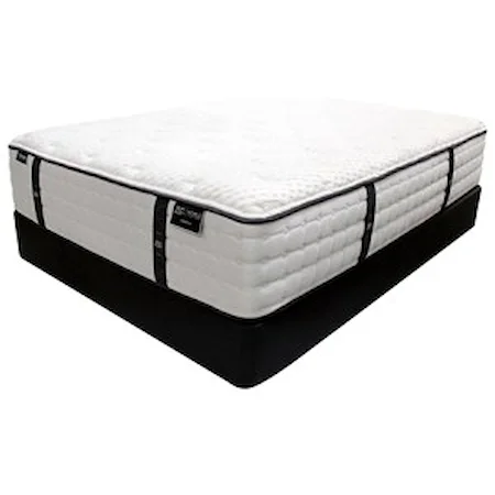 Queen Plush Pocketed Coil Mattress and Foundation